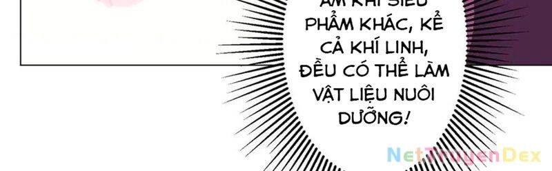 Bắt Đầu Với Trăm Vạn Minh Tệ Chap 206 - Next Chap 207