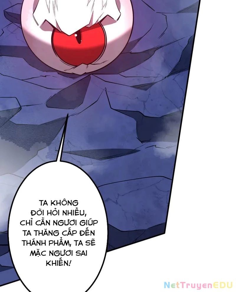 Bắt Đầu Với Trăm Vạn Minh Tệ Chap 217 - Next Chap 218