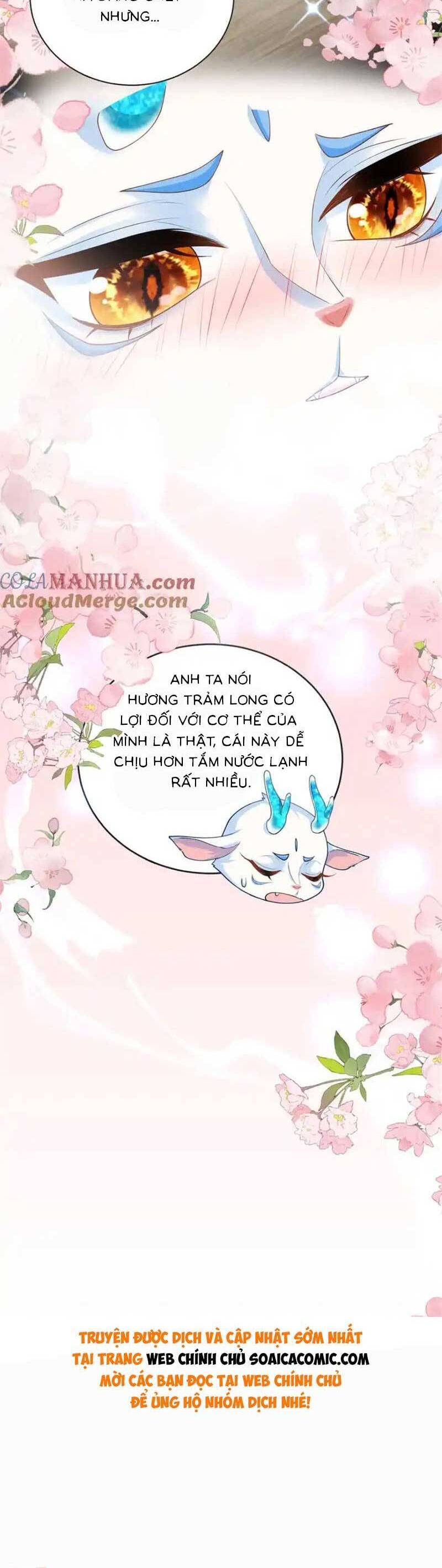 Bé Rồng Đột Kích! Mami Vừa Cay Vừa Độc Chap 60 - Next Chap 61