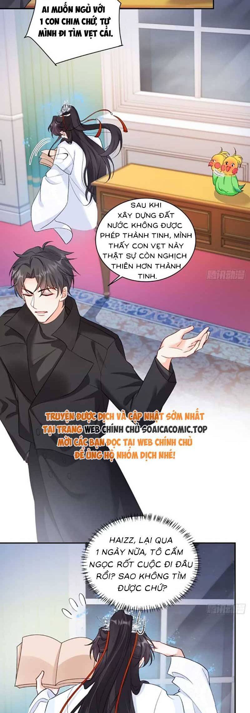 Bé Thóc Đáng Thương Được Tám Người Cậu Tranh Sủng Chap 72 - Next Chap 73