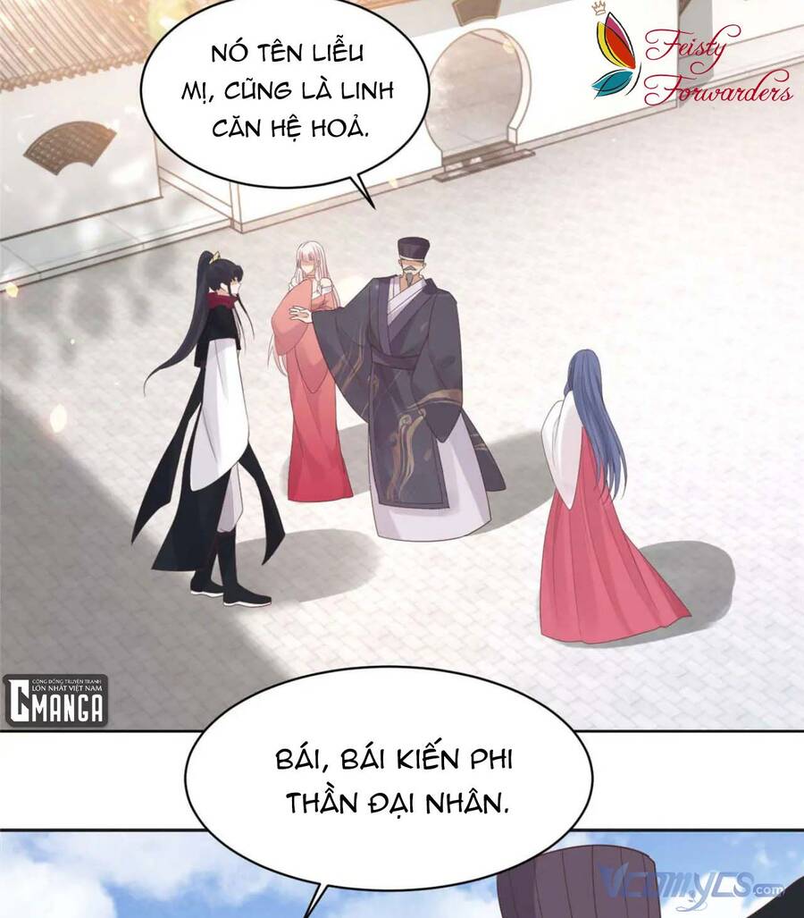 Bệnh Kiều Vương Gia Dựa Vào Ta Để Tiếp Tục Sống Chap 68 - Next Chap 69