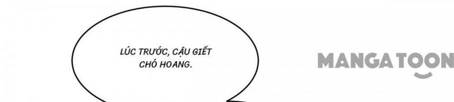 Bị Cắn Thành Vương Giả Chap 82 - Next Chap 83