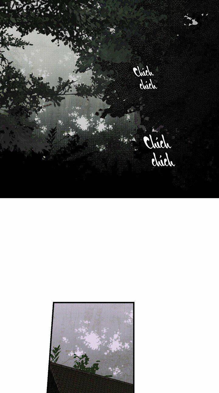Bí Mật Của Quý Cô Chap 22 - Next Chap 23