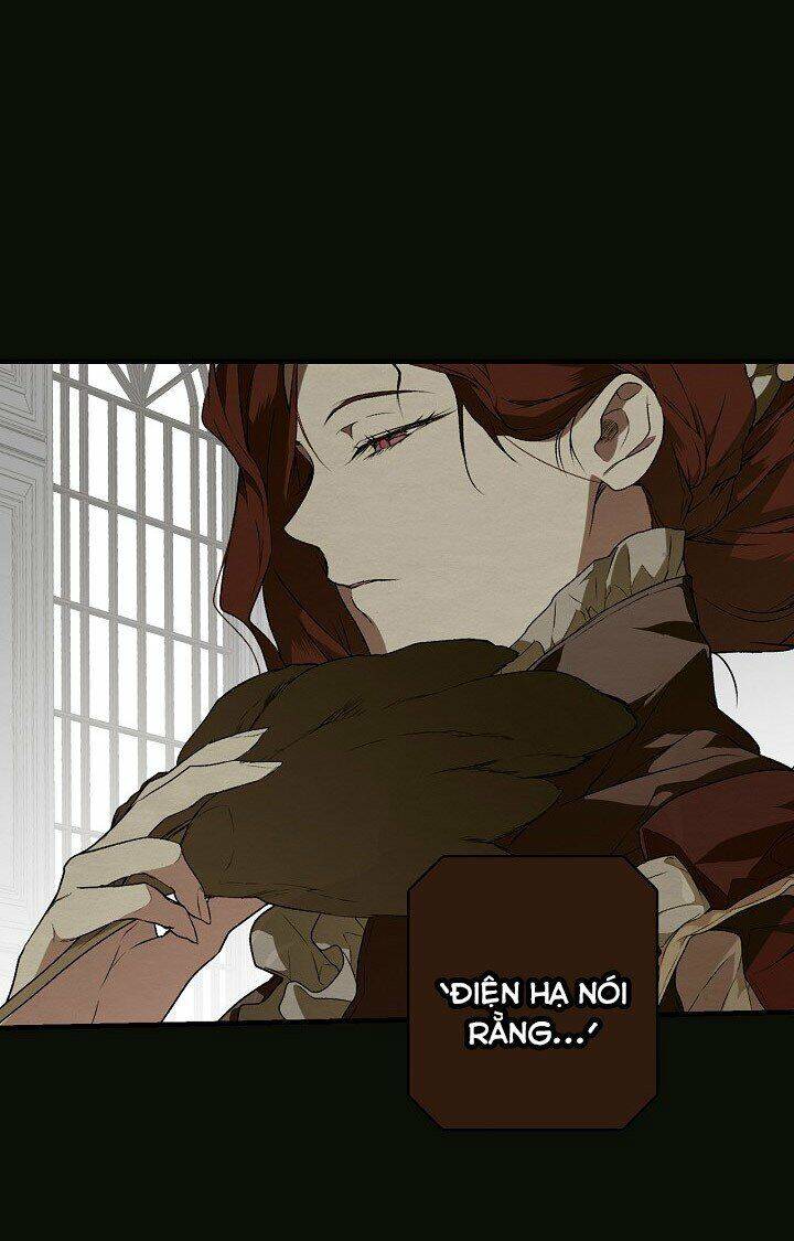 Bí Mật Của Quý Cô Chap 22 - Next Chap 23
