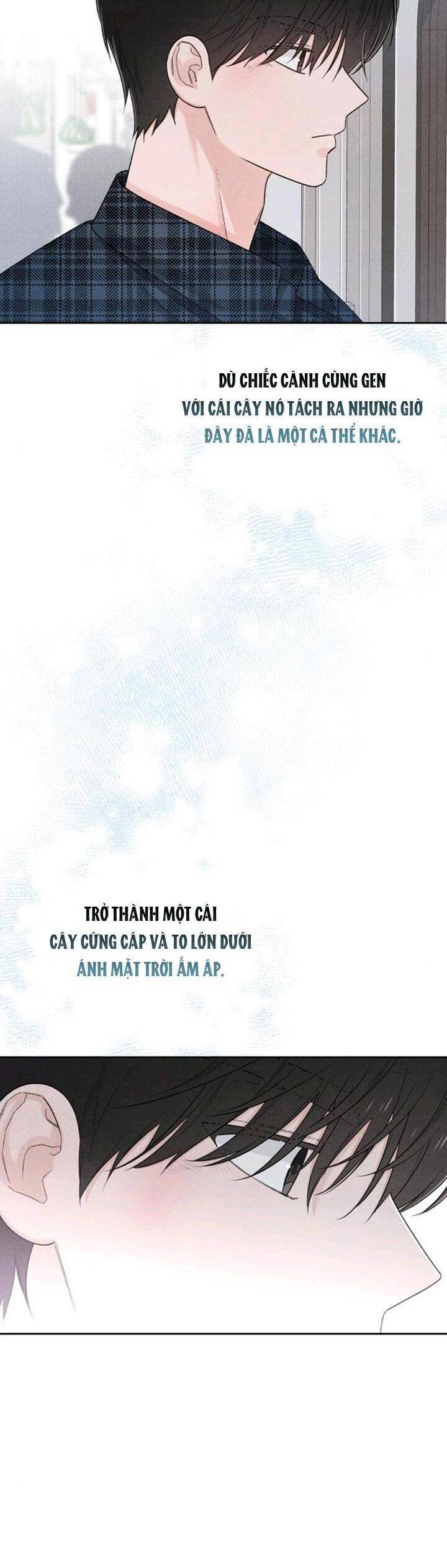 Bí Mật Thanh Xuân Chap 66 - Next Chap 67