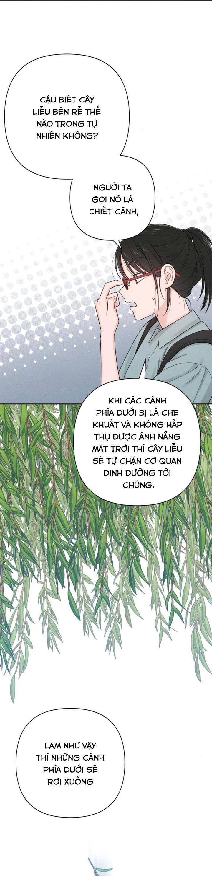 Bí Mật Thanh Xuân Chap 66 - Next Chap 67