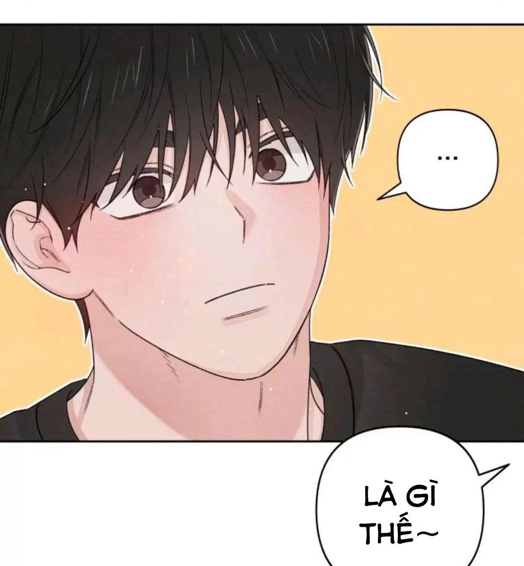 Bí Mật Thanh Xuân Chap 95 - Next Chap 96