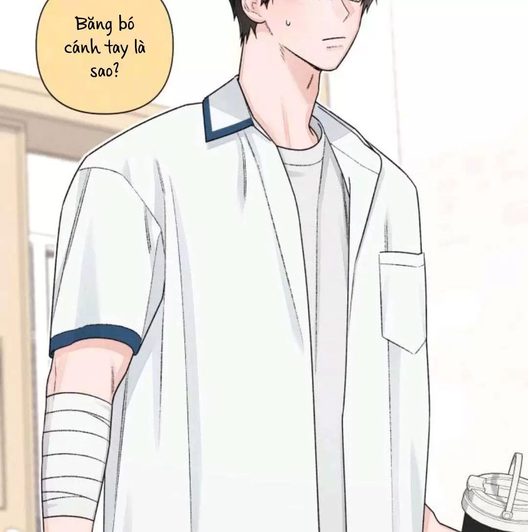 Bí Mật Thanh Xuân Chap 96 - Next Chap 97