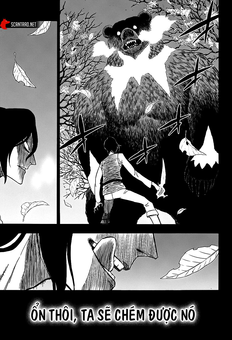 Black Clover - Thế Giới Phép Thuật Chap 278 - Next Chap 279