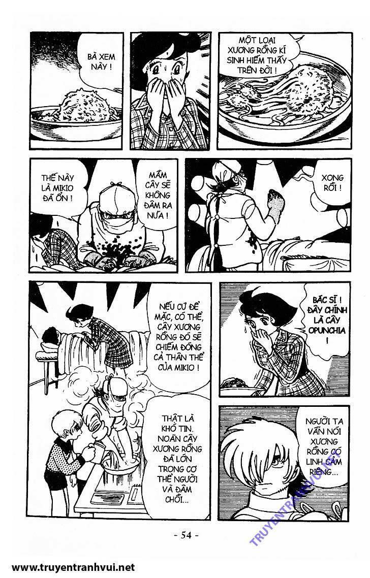 Black Jack Chap 211 - Next Chap 212