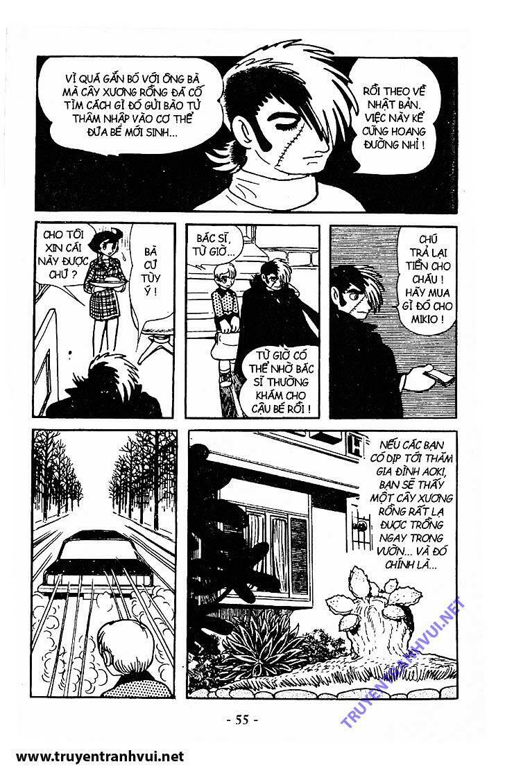Black Jack Chap 211 - Next Chap 212