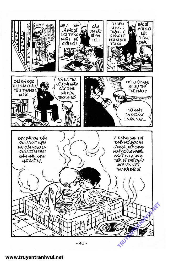 Black Jack Chap 211 - Next Chap 212