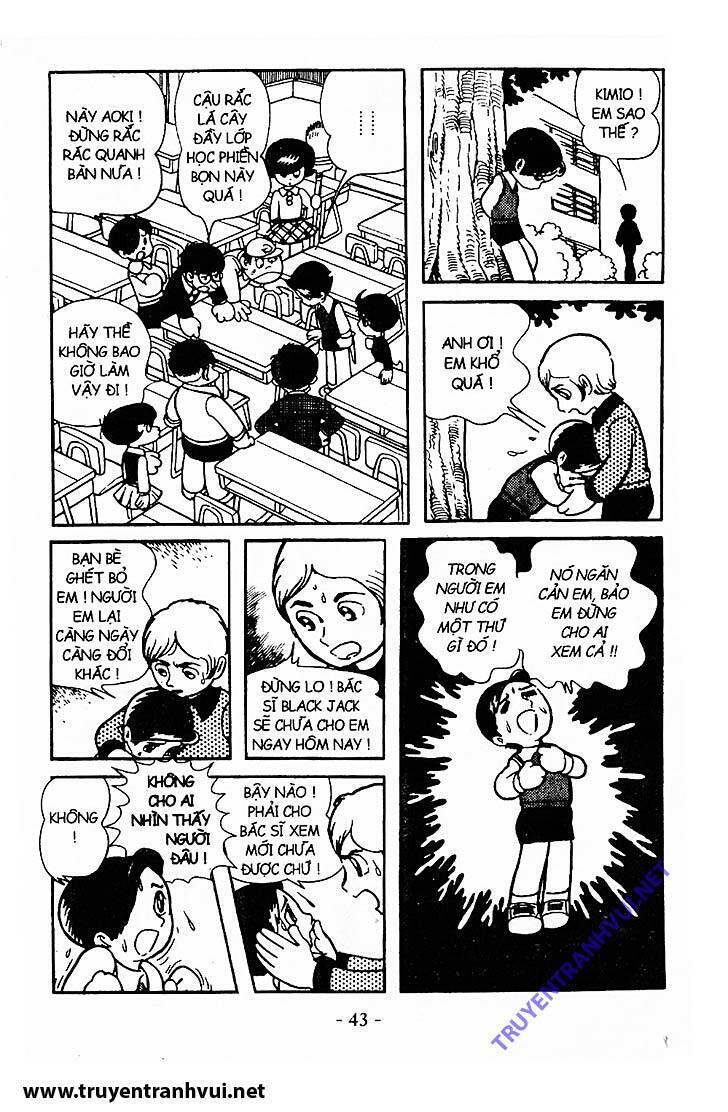 Black Jack Chap 211 - Next Chap 212