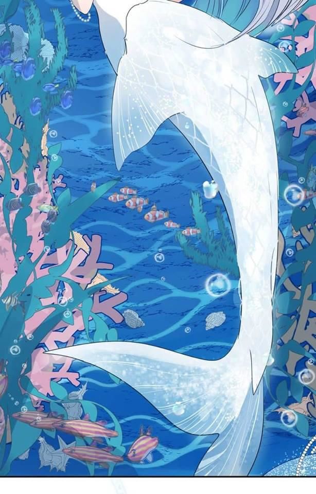Bộ Váy Của Nhân Ngư Chap 1 - Next Chap 2