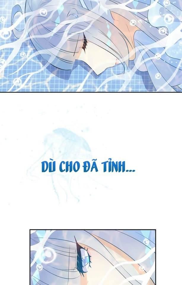 Bộ Váy Của Nhân Ngư Chap 2 - Next Chap 3
