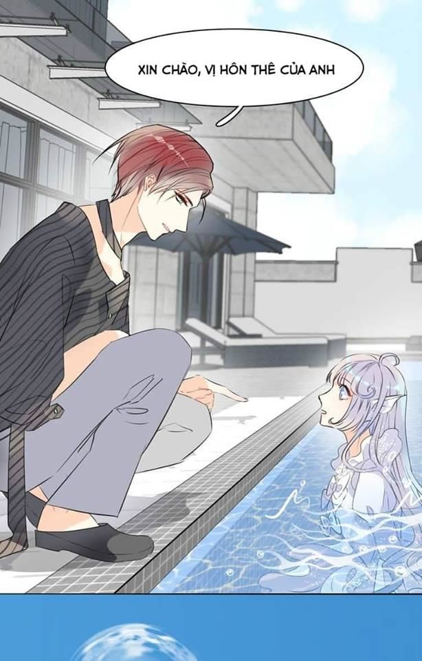 Bộ Váy Của Nhân Ngư Chap 2 - Next Chap 3