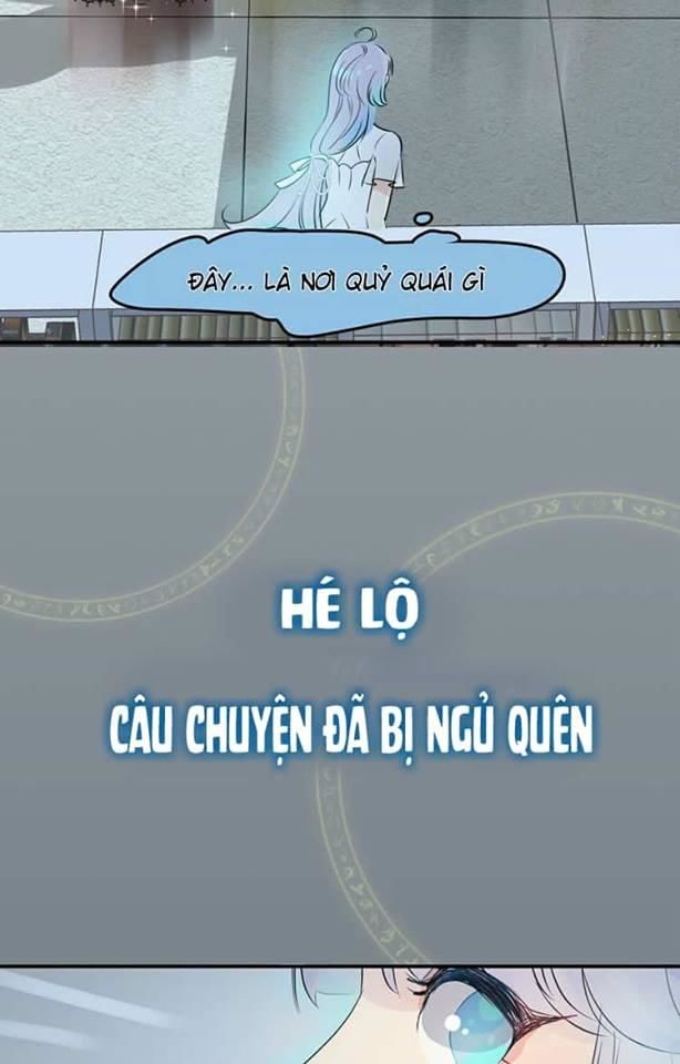 Bộ Váy Của Nhân Ngư Chap 2 - Next Chap 3