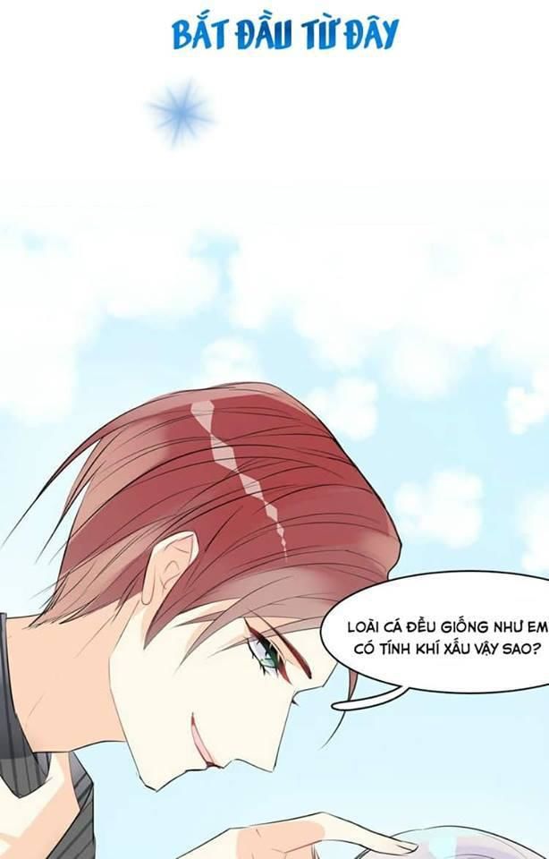Bộ Váy Của Nhân Ngư Chap 2 - Next Chap 3
