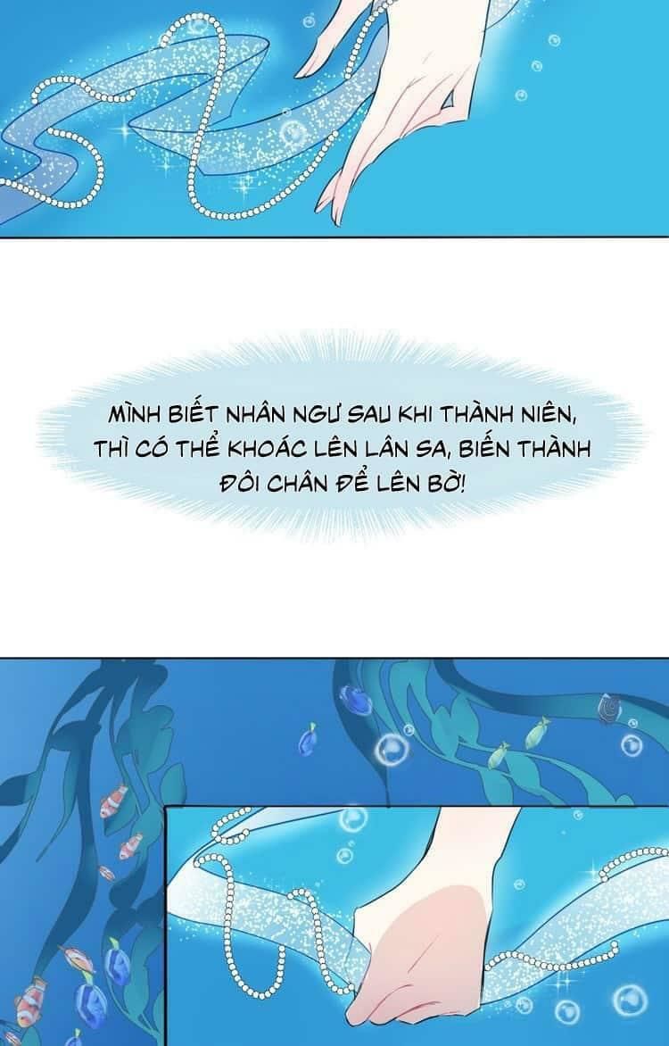 Bộ Váy Của Nhân Ngư Chap 3 - Next Chap 4