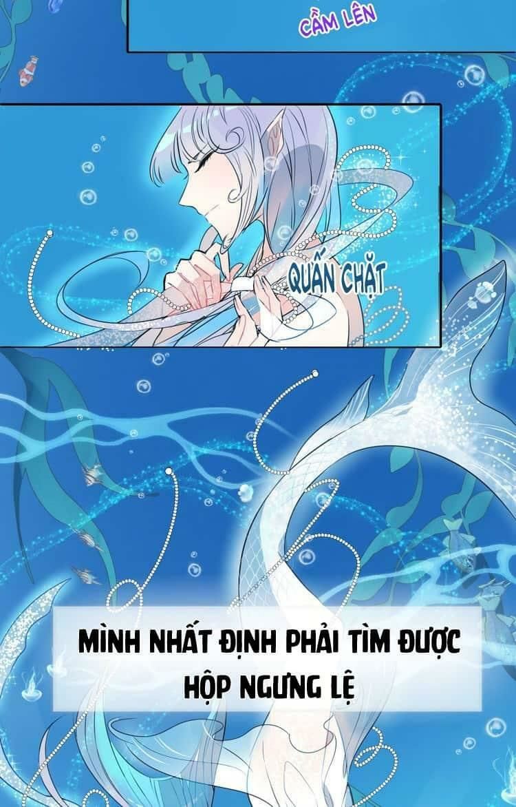 Bộ Váy Của Nhân Ngư Chap 3 - Next Chap 4