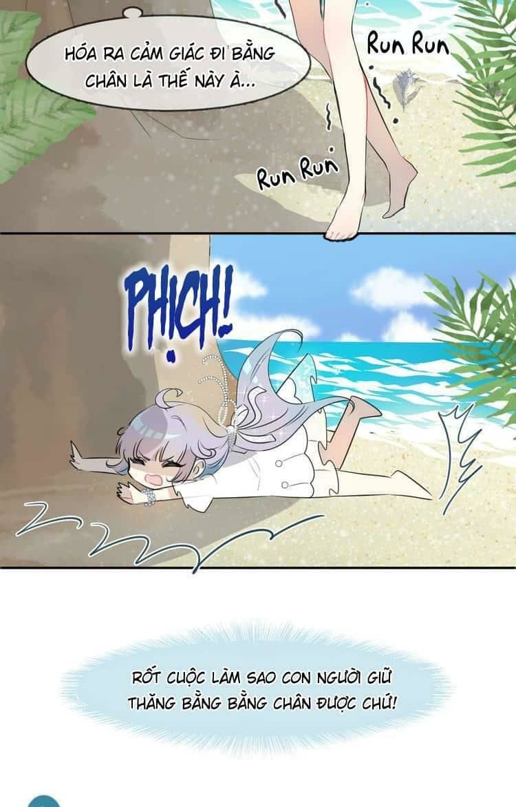 Bộ Váy Của Nhân Ngư Chap 3 - Next Chap 4