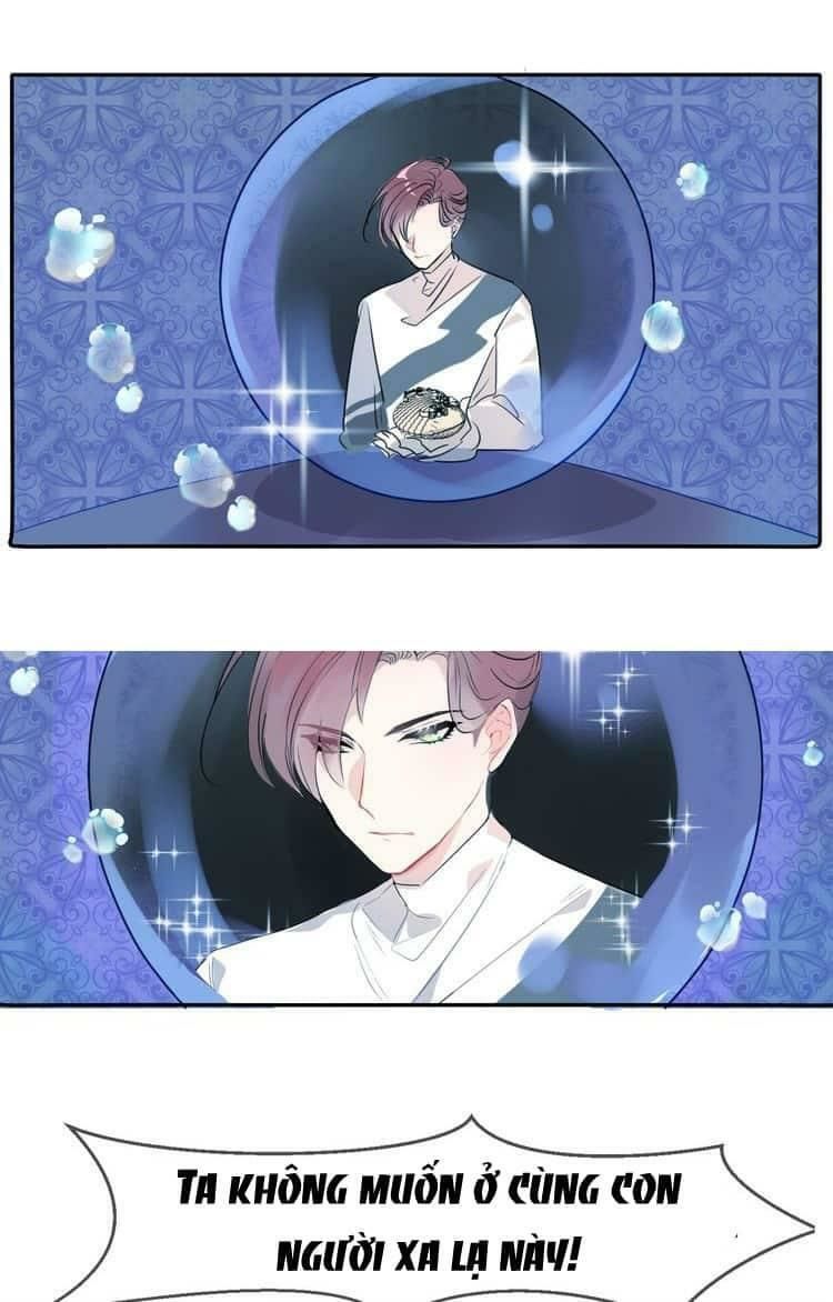 Bộ Váy Của Nhân Ngư Chap 3 - Next Chap 4