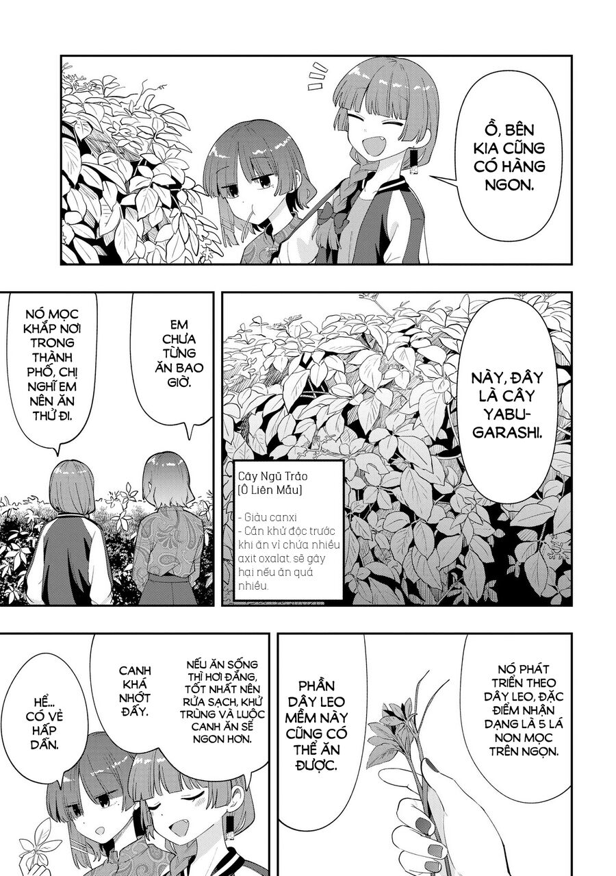 Bocchi The Rock! Ngoại Truyện: Nhật Ký Say Rượu Của Hiroi Kikuri Chap 33 - Next Chap 34
