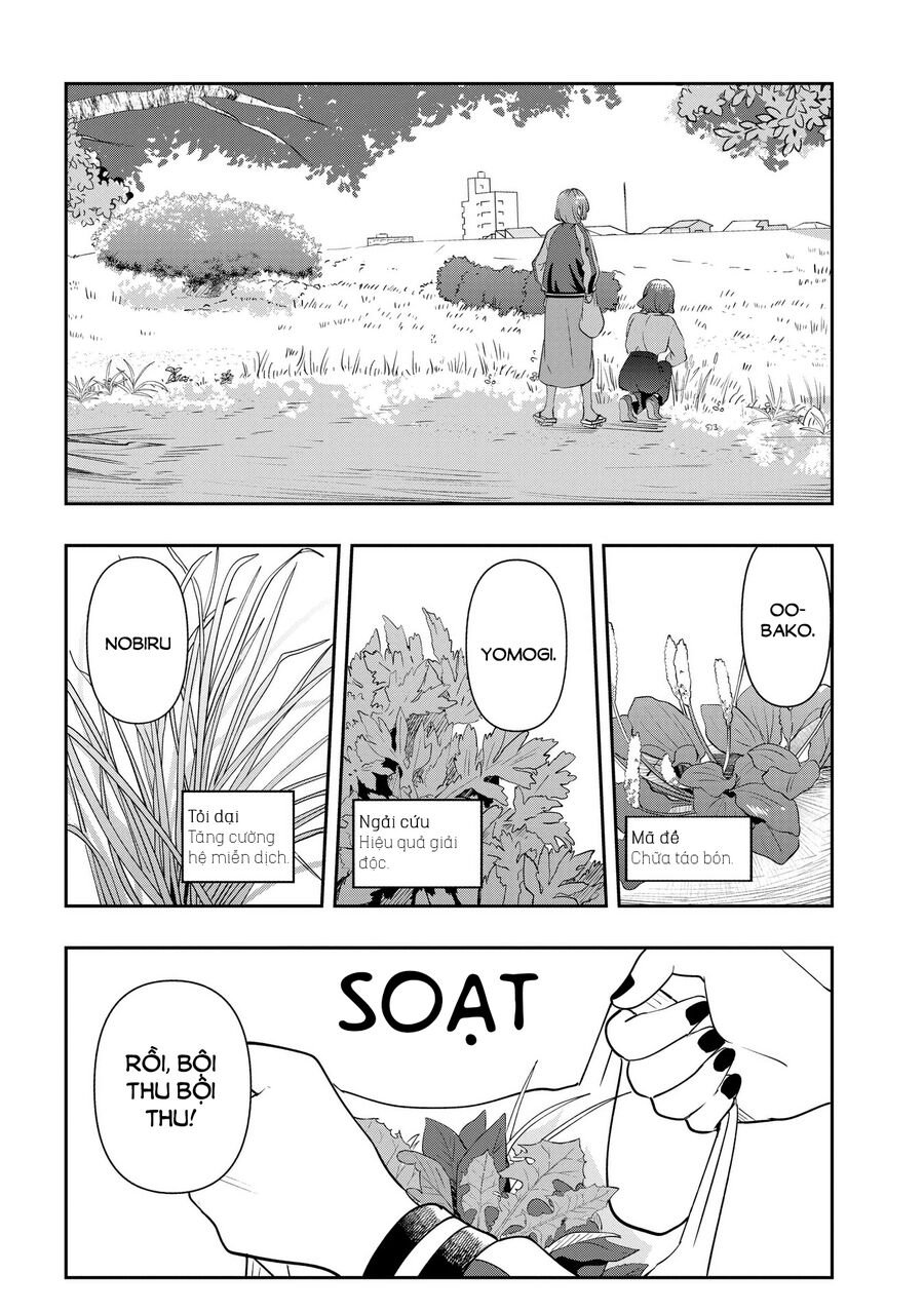 Bocchi The Rock! Ngoại Truyện: Nhật Ký Say Rượu Của Hiroi Kikuri Chap 33 - Next Chap 34