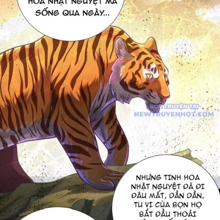 Bói Toán Mà Thôi, Cửu Vĩ Yêu Đế Sao Lại Thành Nương Tử Ta?! Chap 72 - Next Chap 73