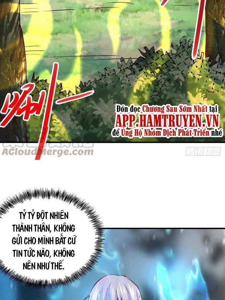 Bổn Tế Tu Chính Là Tiện Đạo Chap 166 - Next Chap 167