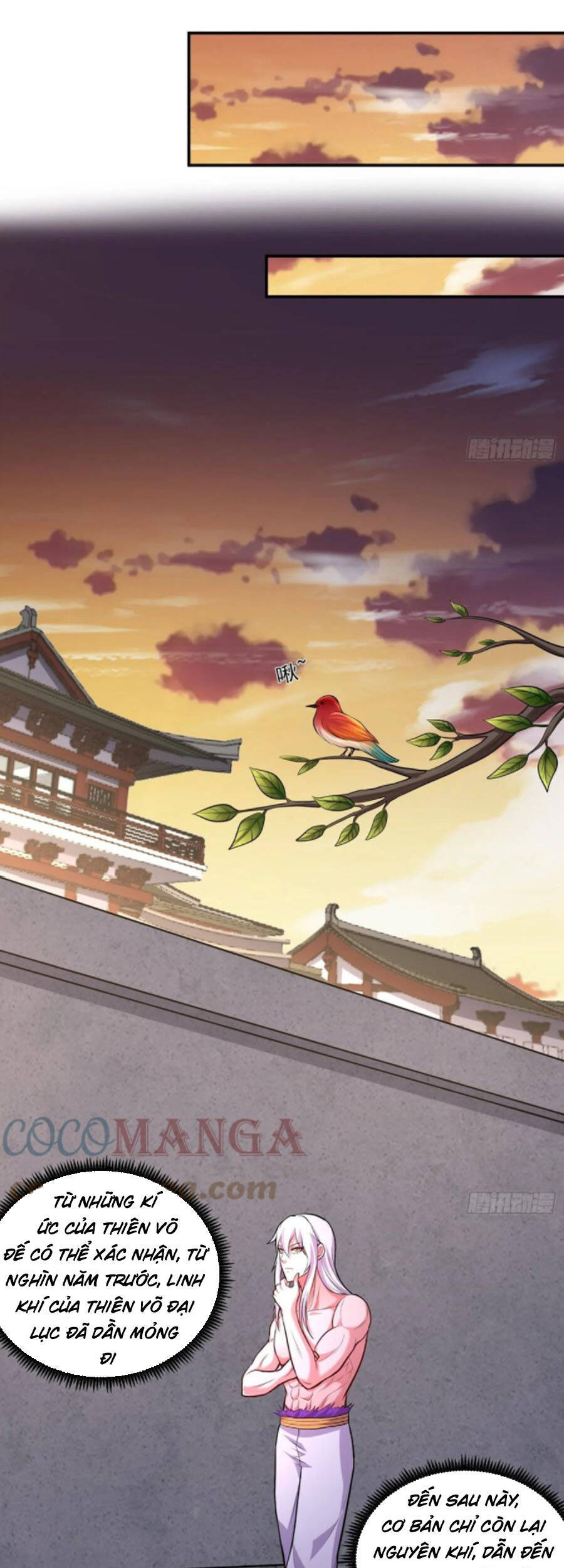 Bổn Tế Tu Chính Là Tiện Đạo Chap 198 - Next Chap 199