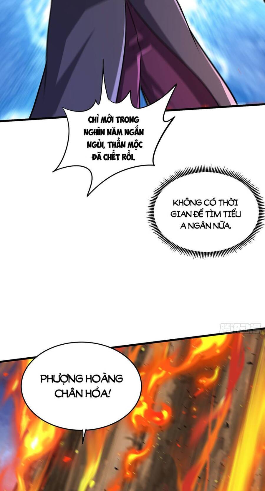 Bổn Tế Tu Chính Là Tiện Đạo Chap 242 - Next Chap 243