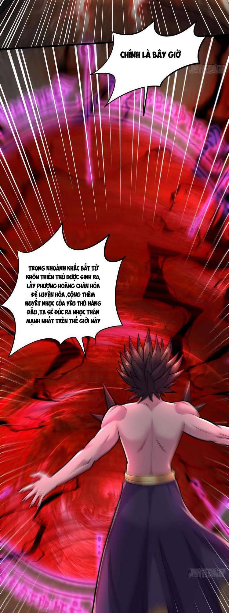 Bổn Tế Tu Chính Là Tiện Đạo Chap 243 - Next Chap 244