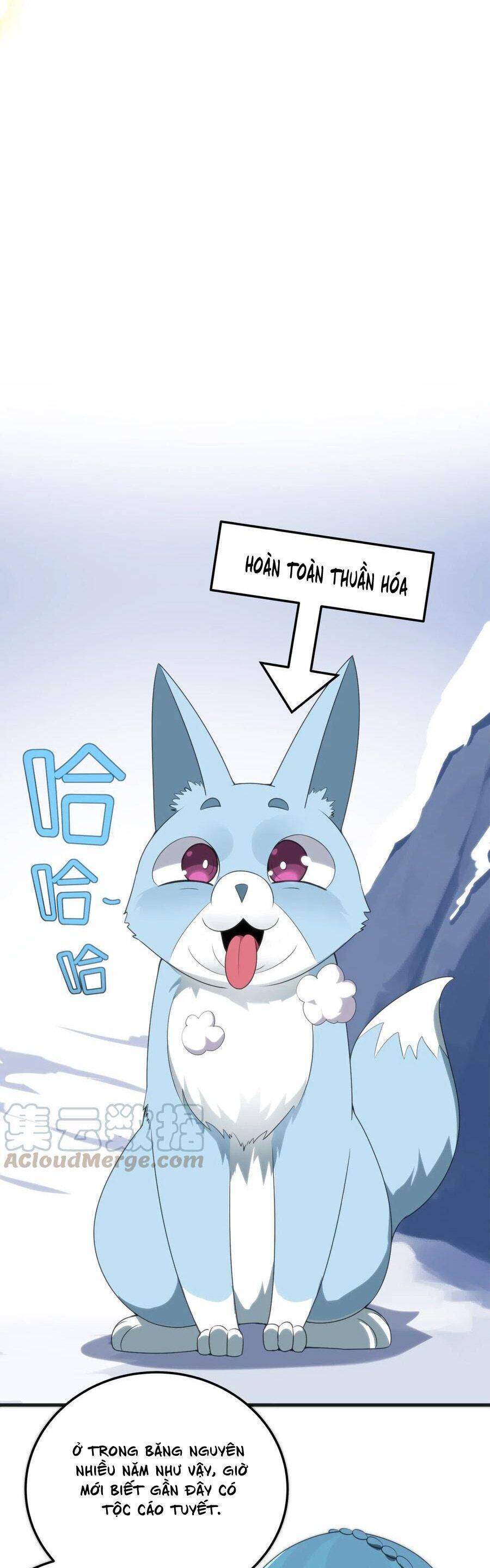 Bổn Thánh Nữ Ngã Bài Rồi Chap 3 - Next Chap 4