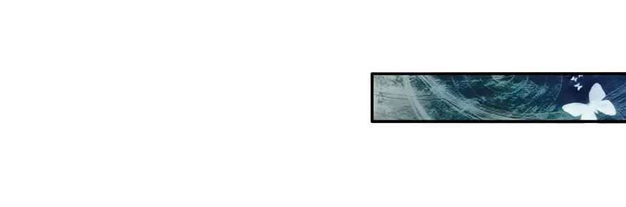 Bỗng Một Ngày Trở Thành Con Gái Nhà Vua Chap 69 - Next Chap 70