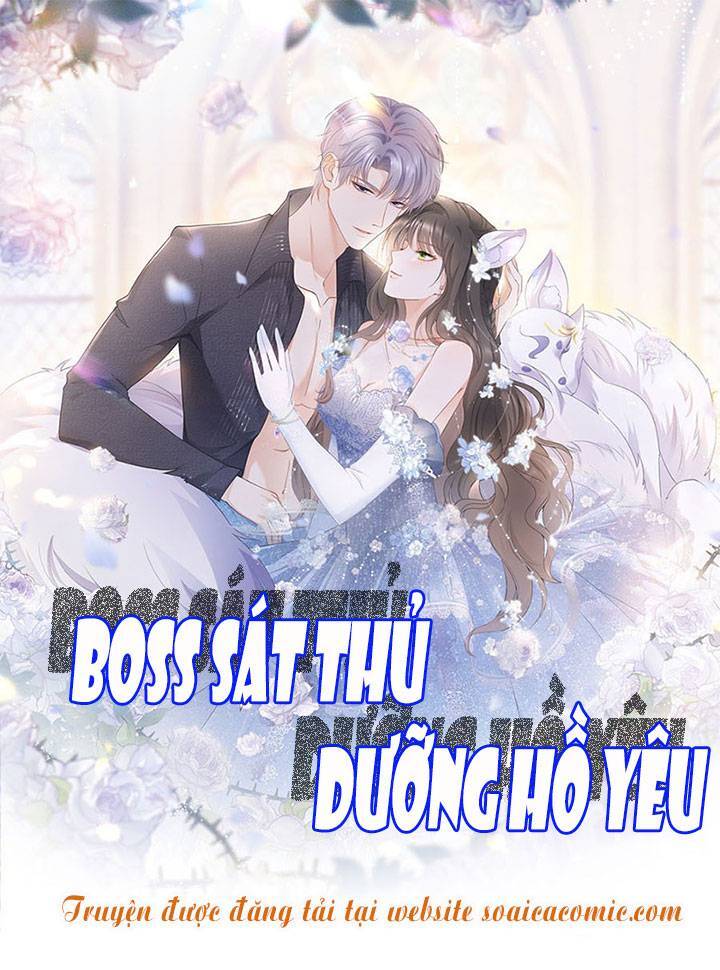 Boss Sát Thủ Dưỡng Hồ Yêu Chap 46 - Next Chap 47