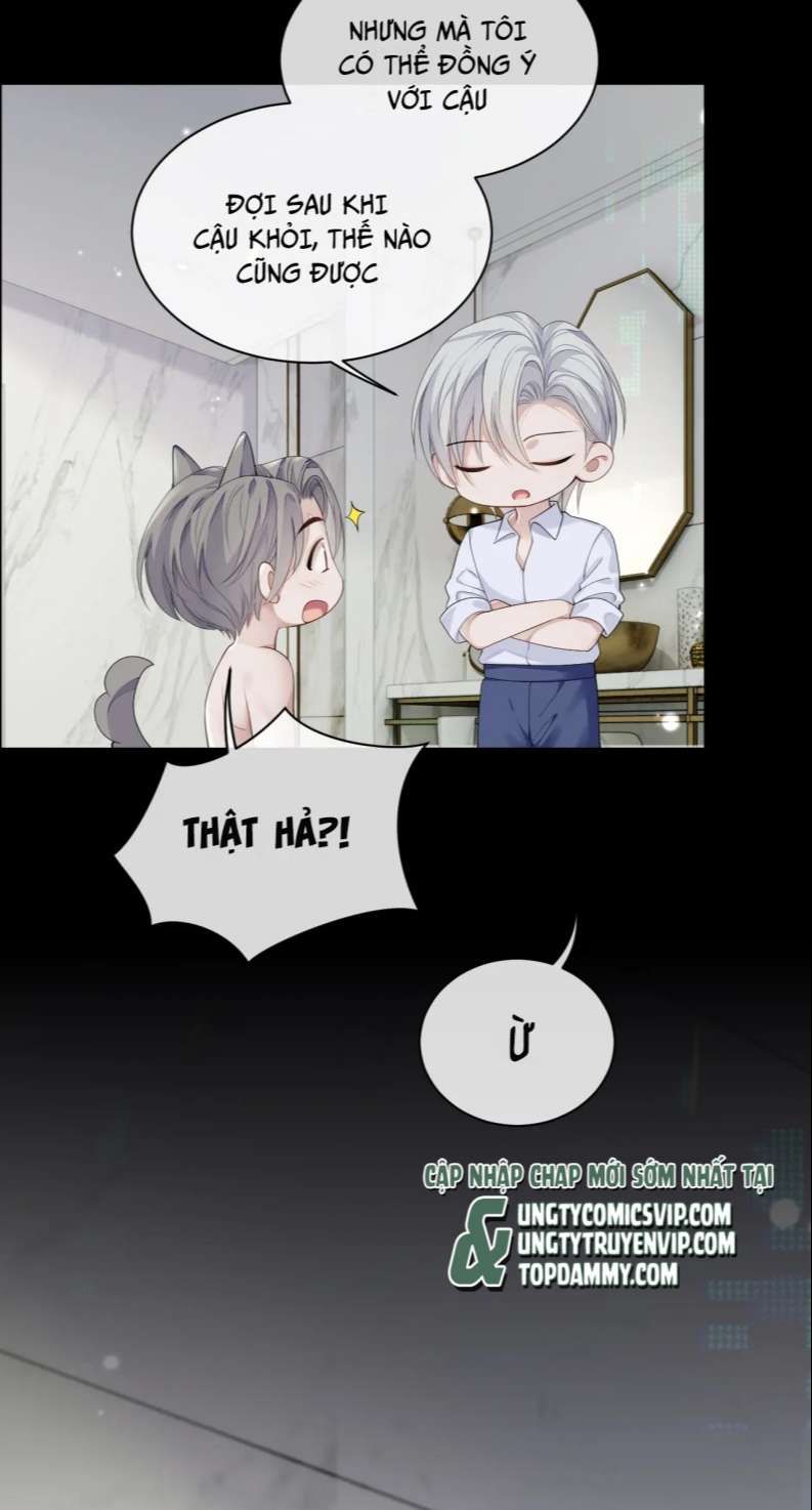Cả Thế Giới Đều Muốn Ghép Chúng Tôi Làm Cp Mặc Dù Chúng Tôi Muốn Ly Hôn Chap 84 - Next Chap 85