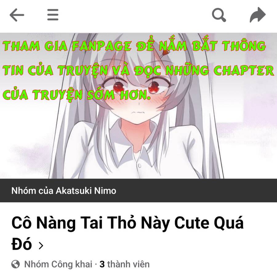 Các Cô Gái Tai Thú Đều Muốn Độc Chiếm Tôi Chap 0 - Next Chap 1
