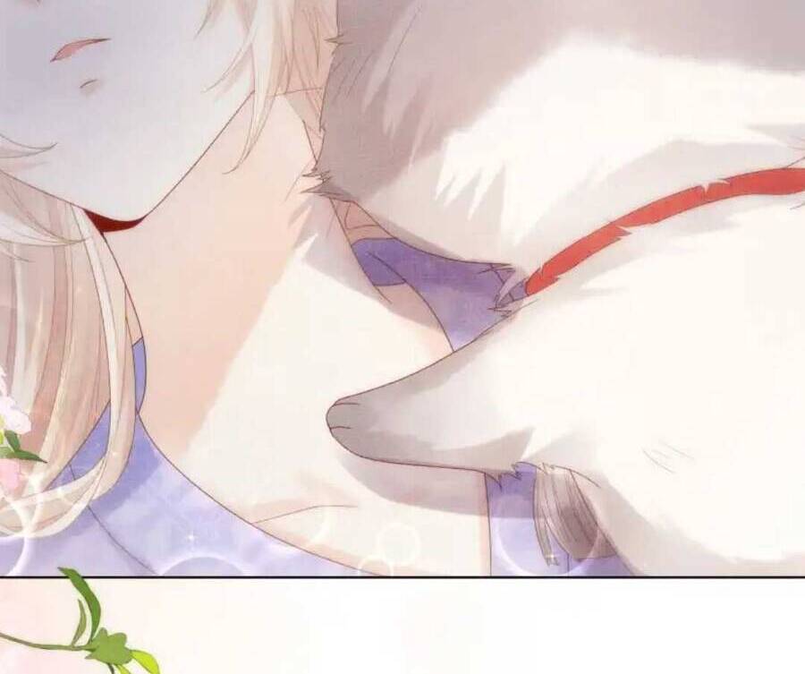 Các Đệ Tử Ai Cũng Nói Yêu Ta Chap 12 - Next Chap 13