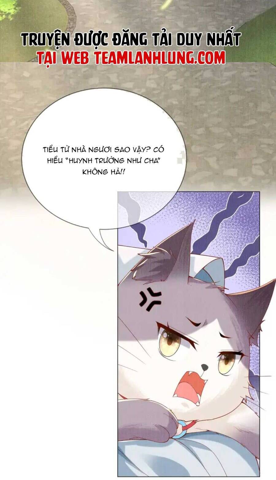 Các Đệ Tử Ai Cũng Nói Yêu Ta Chap 17 - Next Chap 18