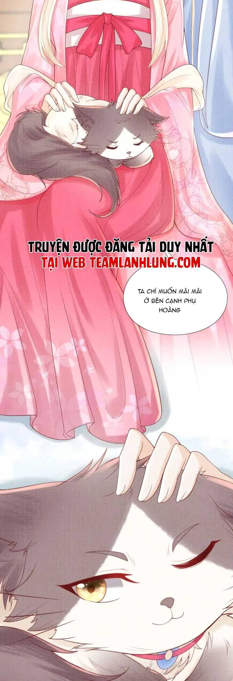 Các Đệ Tử Ai Cũng Nói Yêu Ta Chap 19 - Next Chap 20