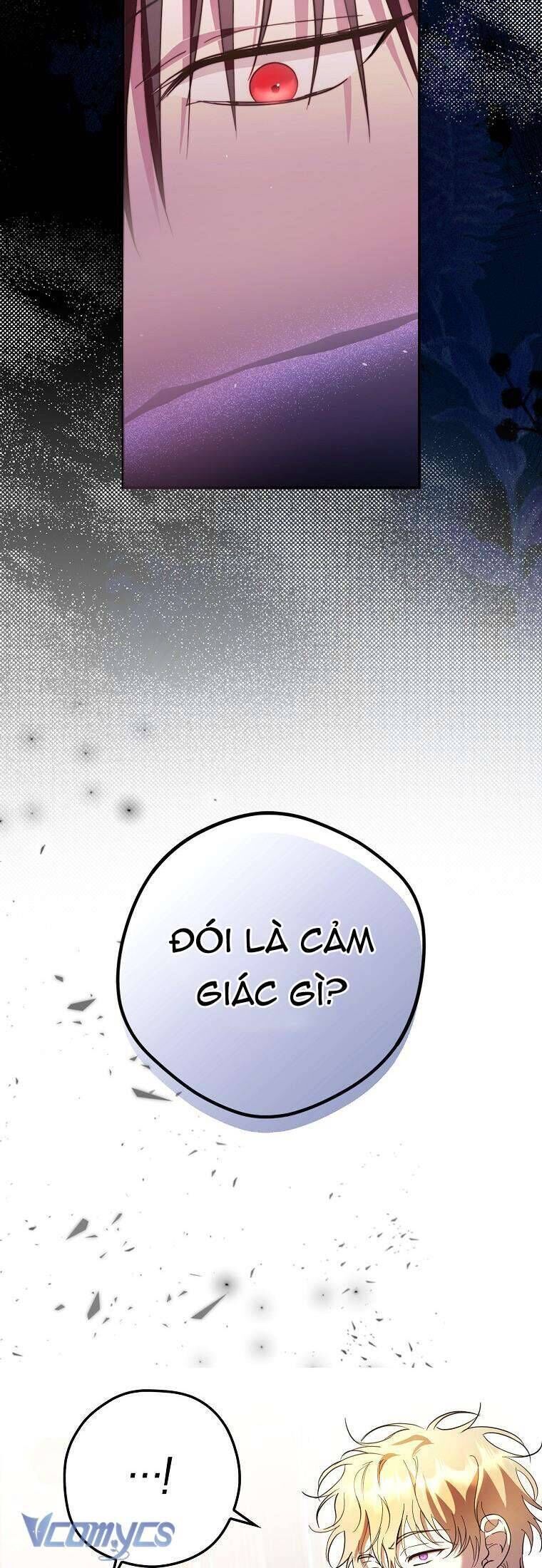 Các Nam Chính Đã Bị Nữ Phụ Cướp Mất Chap 19 - Next Chap 20