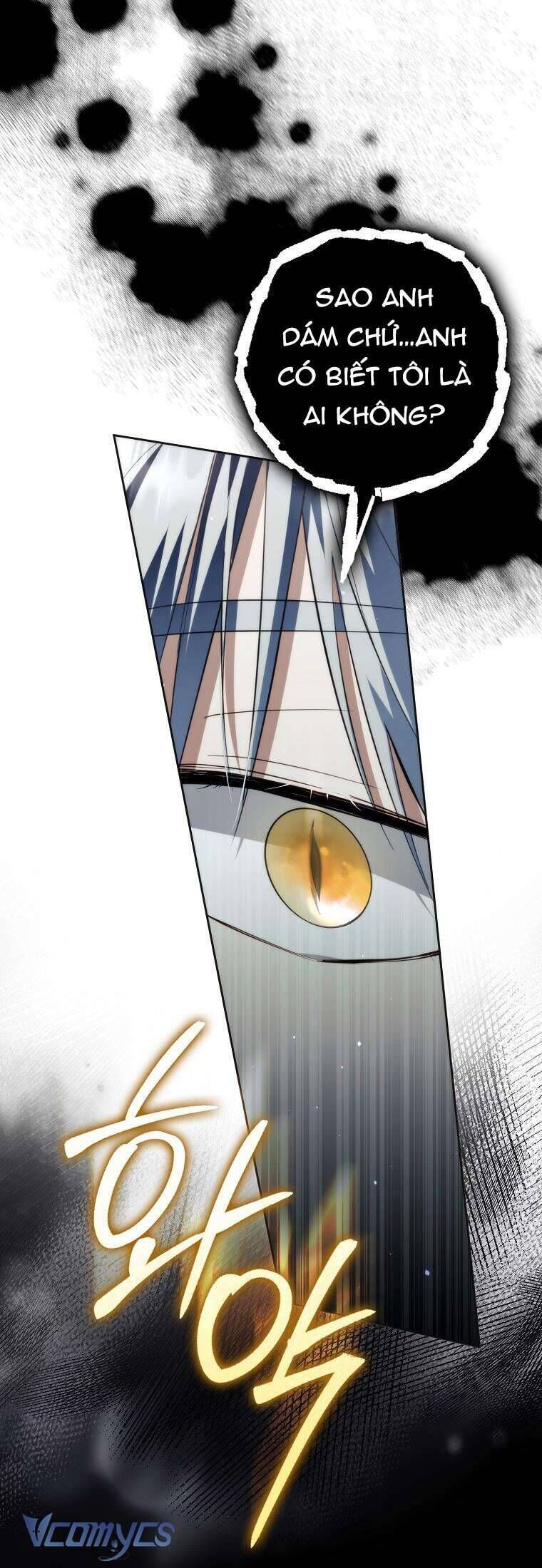 Các Nam Chính Đã Bị Nữ Phụ Cướp Mất Chap 27 - Next Chap 28