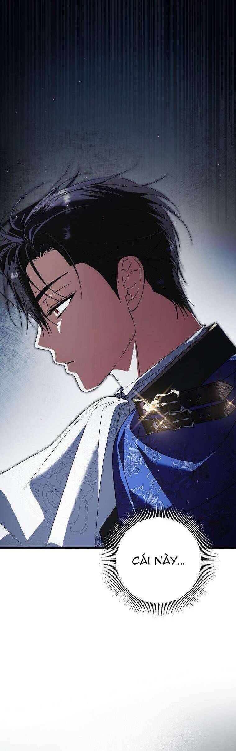 Các Nam Chính Đã Bị Nữ Phụ Cướp Mất Chap 31 - Next Chap 32