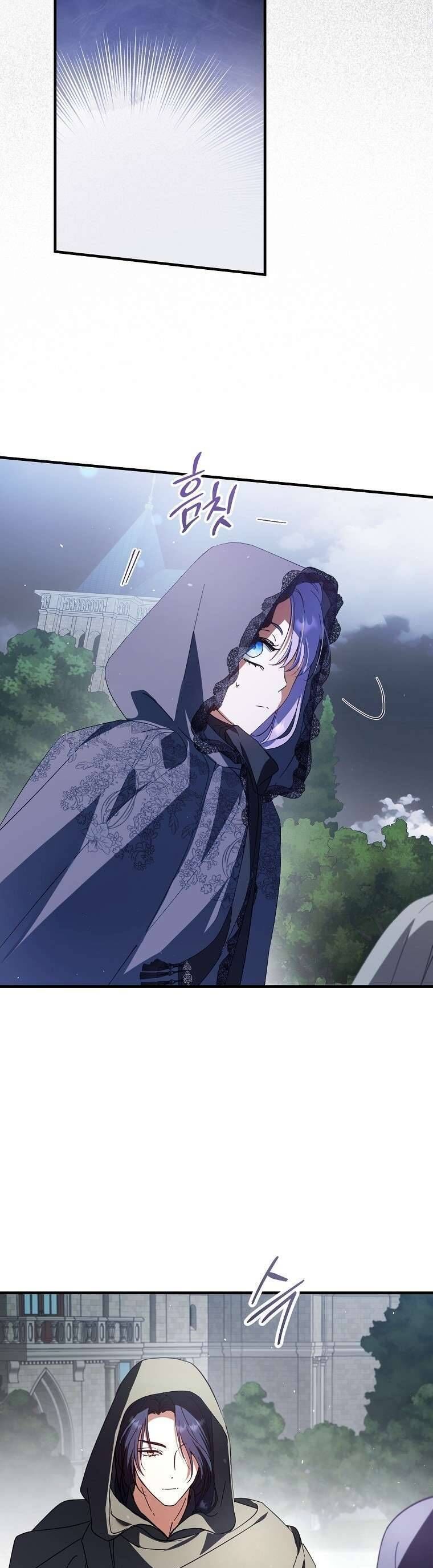 Các Nam Chính Đã Bị Nữ Phụ Cướp Mất Chap 33 - Next Chap 34