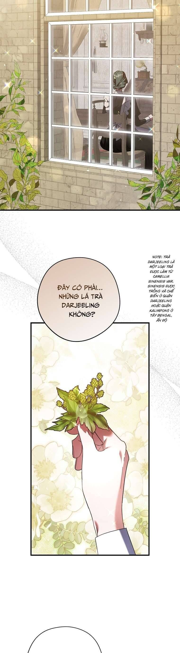 Các Nam Chính Đã Bị Nữ Phụ Cướp Mất Chap 33 - Next Chap 34