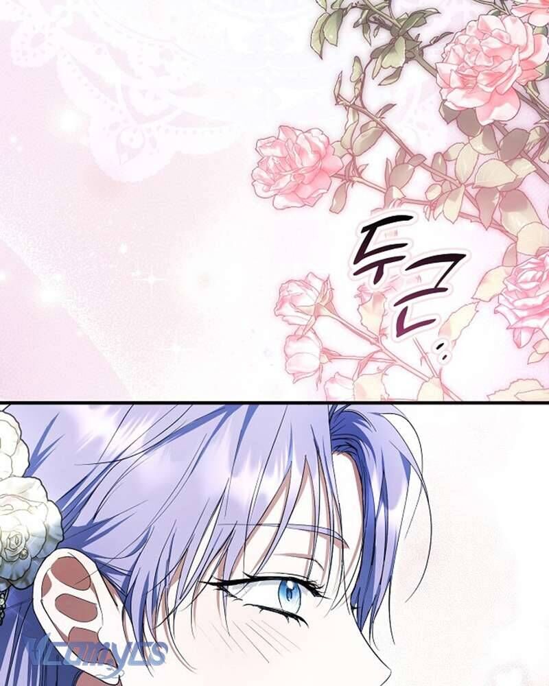 Các Nam Chính Đã Bị Nữ Phụ Cướp Mất Chap 51 - Next Chap 52