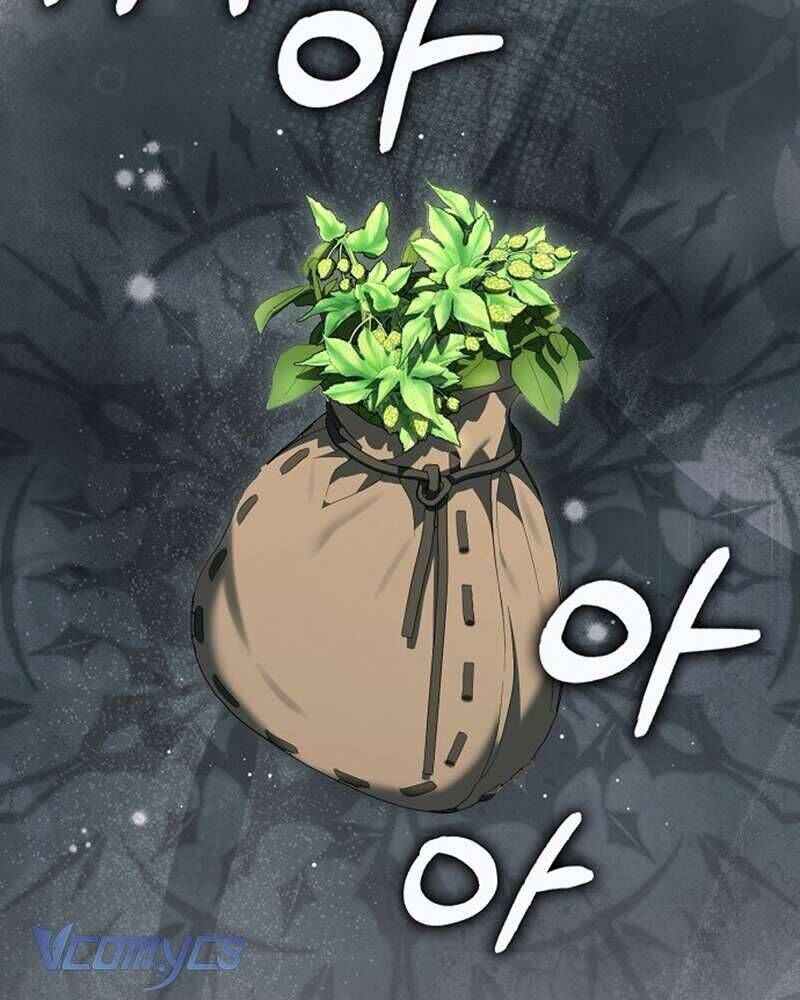 Các Nam Chính Đã Bị Nữ Phụ Cướp Mất Chap 55 - Next Chap 56