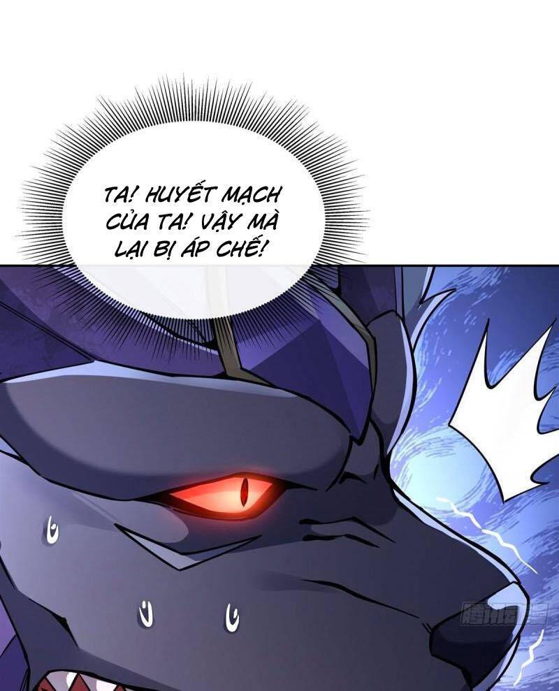 Các Nữ Đồ Đệ Của Ta Đều Là Chư Thiên Đại Lão Tương Lai Chap 168 - Next Chap 169