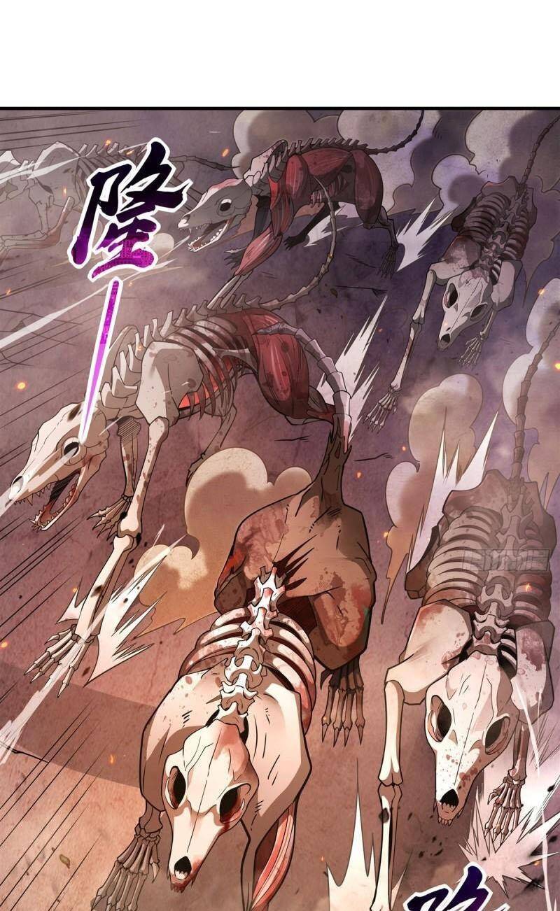 Các Nữ Đồ Đệ Của Ta Đều Là Chư Thiên Đại Lão Tương Lai Chap 176 - Next Chap 177
